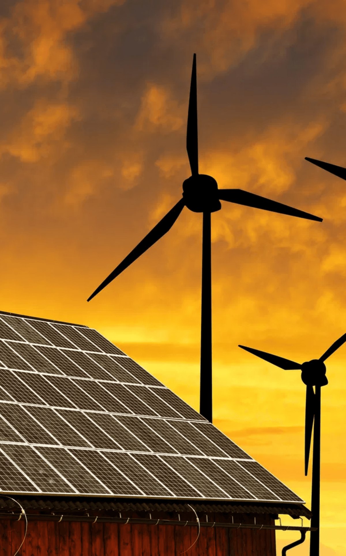 Solar and wind renewable energy site